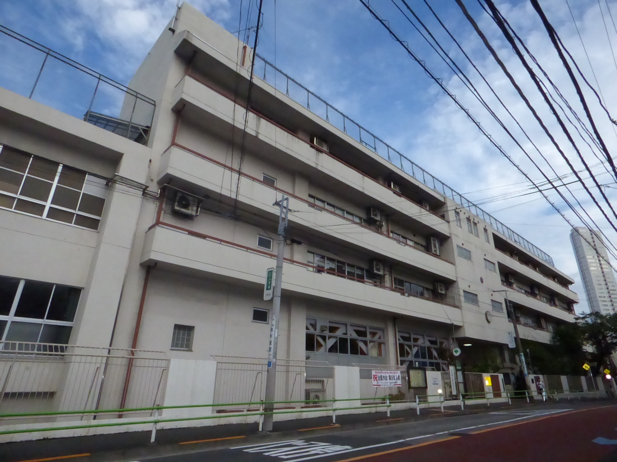 メタセコイヤ白金台 小学校