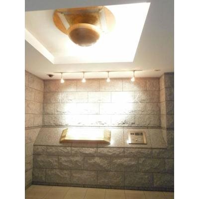 エルスタンザ白金 その他