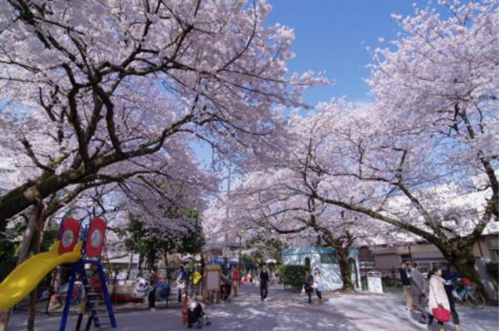アトラス白金台レジデンス 白金児童遊園