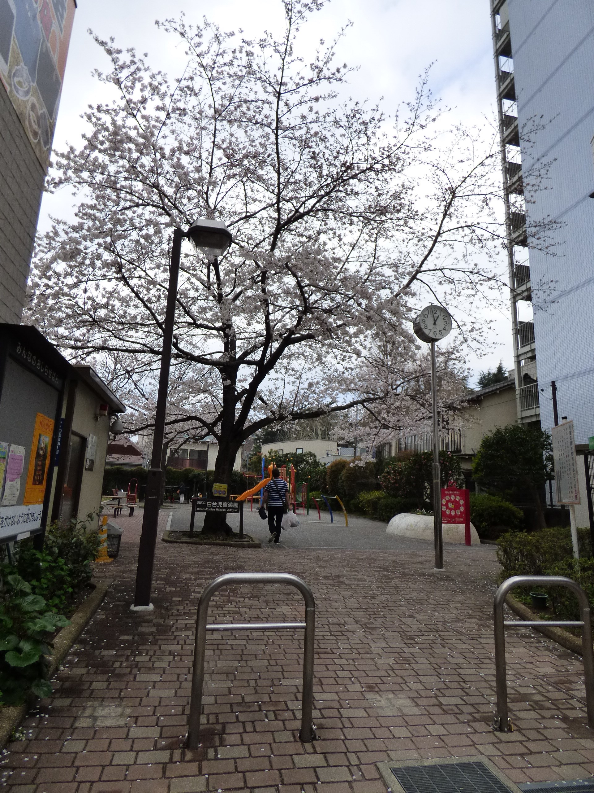 ダリアコート白金台 公園